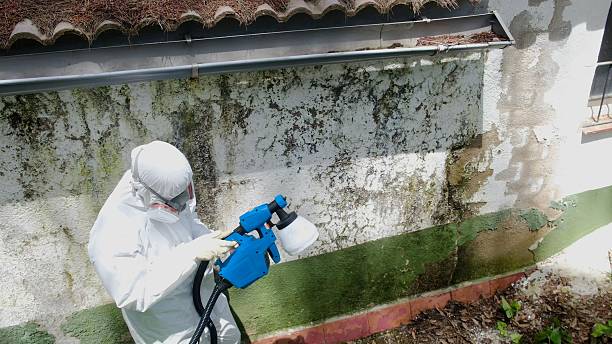 Top rated local Commercial Mold Remediation specialists in Maplewood, WA